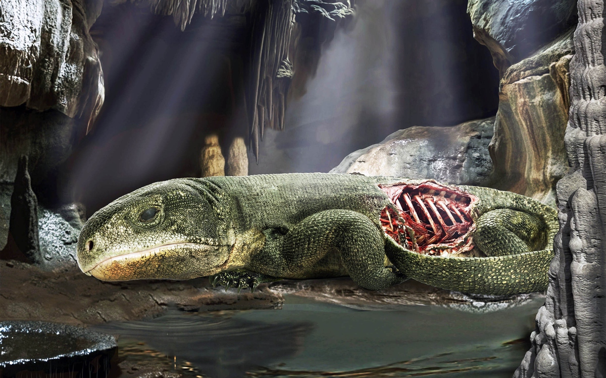 Bí ẩn trong hang tối: Xác ướp 289 triệu năm vạch trần "cỗ máy" hô hấp của nhân loại