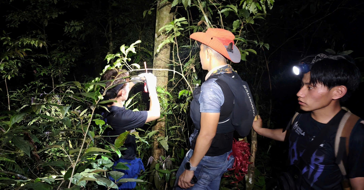 Từ ảnh gửi bạn gái, lực lượng quân đội 'cắt lớp' tìm vị trí nam sinh mất tích ở Tam Đảo