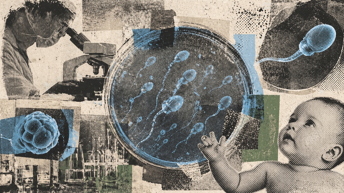 Bước ngoặt y học gây chấn động: Phòng thí nghiệm lần đầu tạo tinh trùng người, mở hy vọng cho nam giới vô tinh