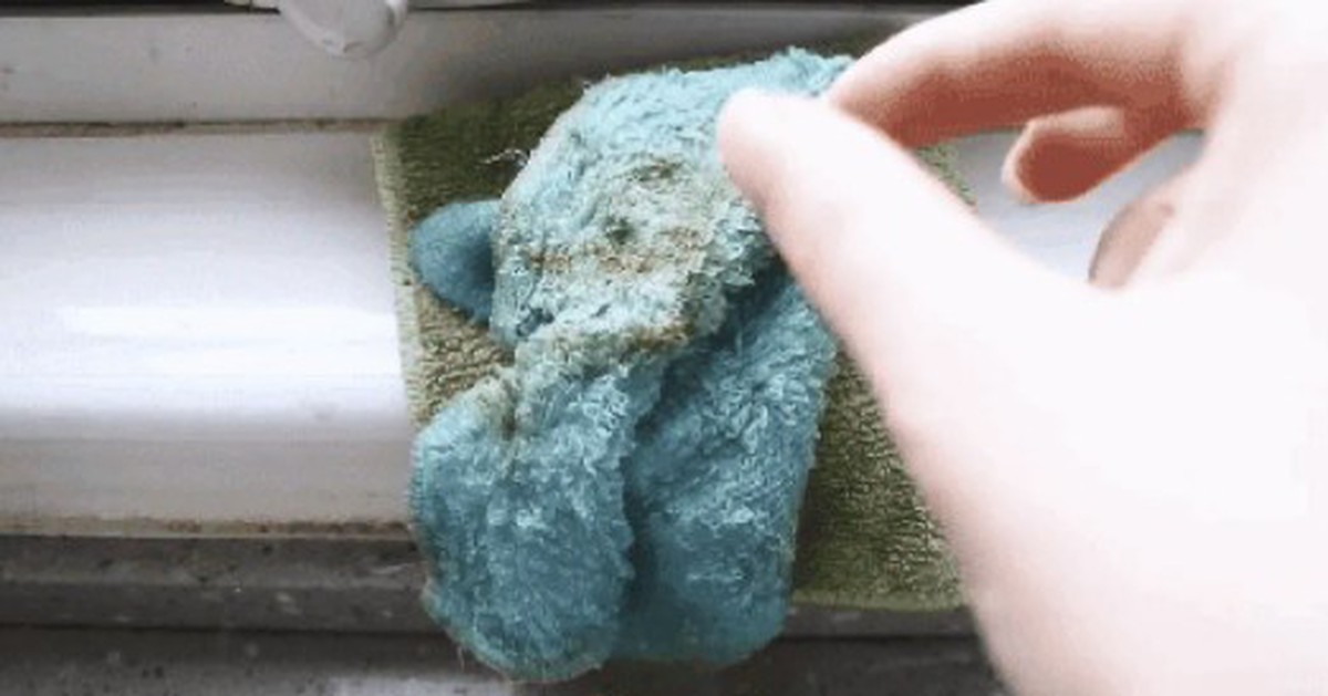 Nhà trông rất sạch nhưng 6 thứ này đang sinh vi khuẩn 24/7 mà bạn không hề biết