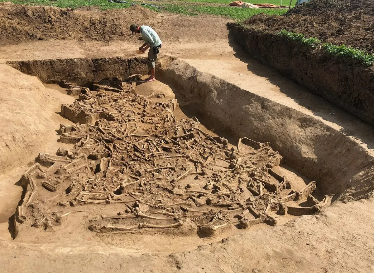 Phát hiện 77 bộ xương không đầu trong ngôi mộ tập thể cổ đại khiến giới khoa học đặt câu hỏi: Rốt cuộc chuyện gì đã xảy ra ở đây?