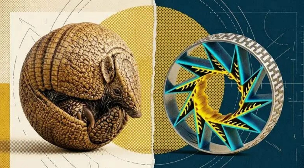 Các nhà khoa học lấy cảm hứng từ loài tatu, tạo ra công nghệ mới có thể tự "mặc giáp" khi gặp nguy hiểm