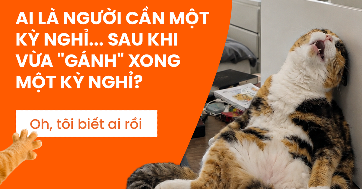 Tìm 5 “người gánh team” du lịch mệt mỏi nhất để đưa sang Thụy Sĩ