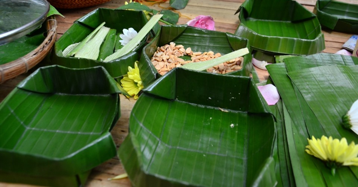 Loại lá rụng đầy vườn ở Việt Nam, "trời Tây" bán gần nửa triệu đồng/chiếc vẫn có người mua