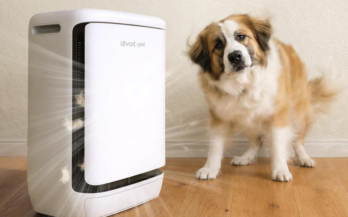 Levoit Vital Pet Pro: “Mổ xẻ” chiếc máy lọc không khí thú cưng hàng đầu phân khúc