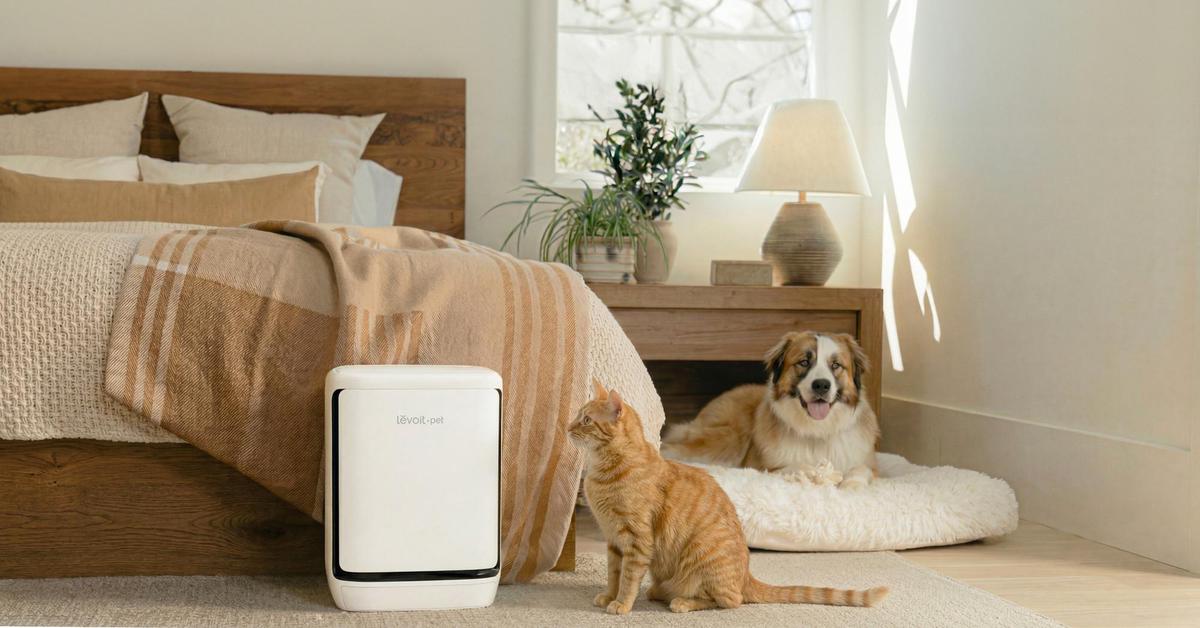 Levoit Vital Pet Pro ra mắt tại Việt Nam: Máy lọc không khí tự “gom” lông thú, xử lý cả mùi hôi