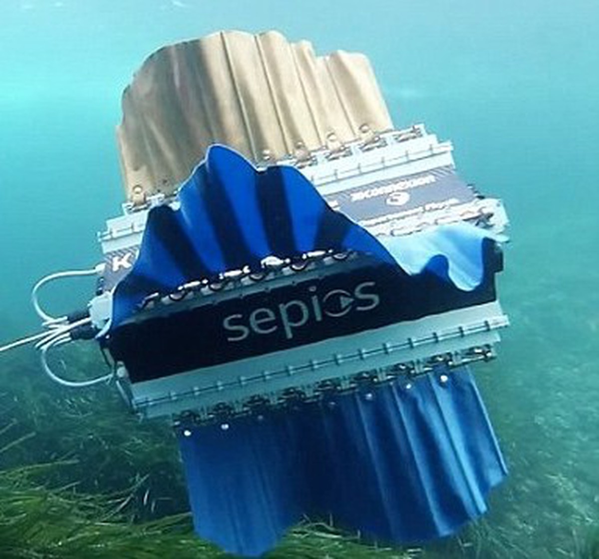 Sepios - Robot biết bơi lặn cực kỳ độc đáo