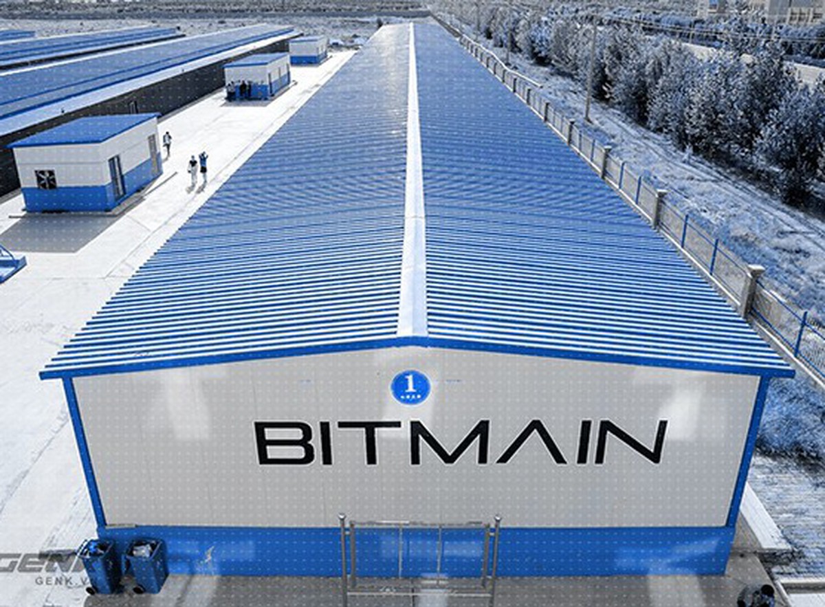 Bitmain - con cá voi lớn nhất thị trường bitcoin: sống sót sau thảm họa ...