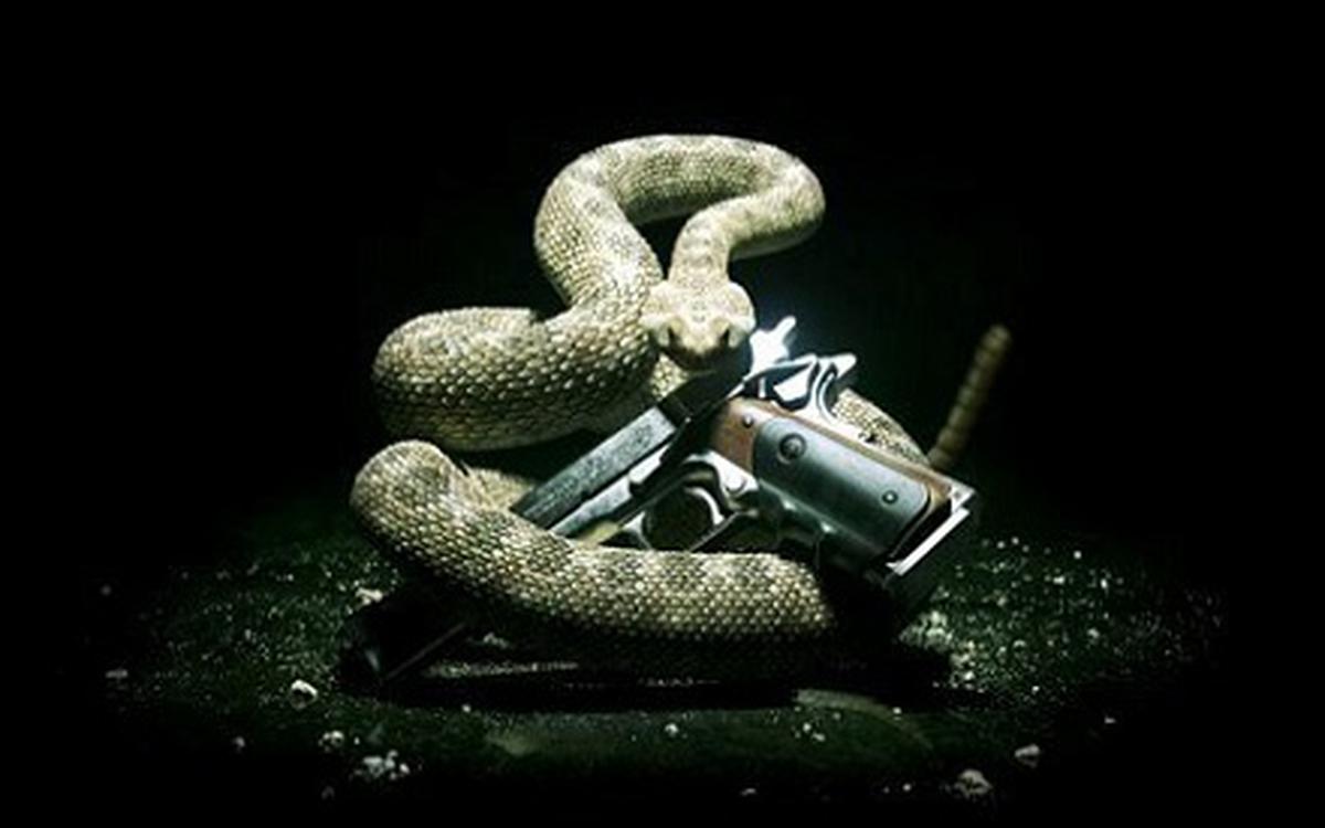 [Sub Việt] Hitman Absolution: Sát thủ đã trở lại (Phần cuối)