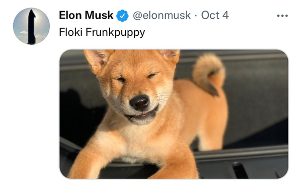 Elon musk shiba inu coin