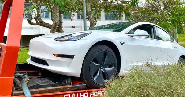 The university in Saigon plays a big part in spending billions on Elon Musk’s Tesla electric car for students to practice