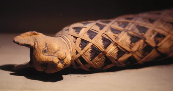 Why were ancient Egyptians obsessed with cats?