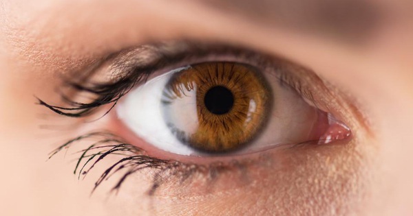 How does the “camera sensor” in your eye work?