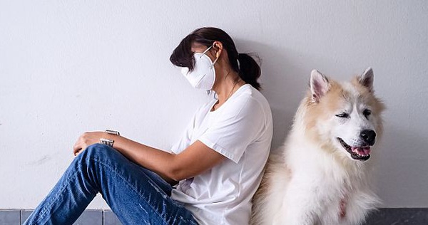 Pets comfort someone who is suffering better than family and close friends