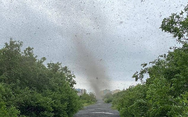 Horrified with the moment when the mosquito flies into a “whirlwind” like swallowing the sun in Russia