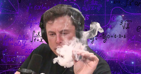 Elon Musk cho rằng ký sinh trùng tẩy não khiến con người tạo ra AI - Vimarsana News