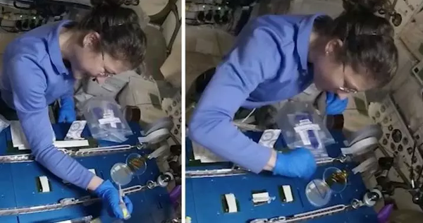 Successfully using the CRISPR gene editing tool on the ISS station, a stepping stone for us to have a “super astronaut” to fly to every corner of the galaxy