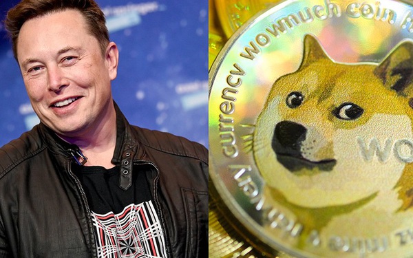 Too many ‘dirty’ tweets, Elon Musk’s Dogecoin pumping trick is now lost, the price just plummeted