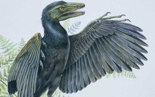 American scientists explain why birds are the only descendants of dinosaurs left on Earth