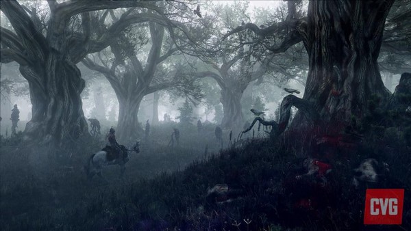 The Witcher 3 nếu có DLC sẽ hoàn toàn miễn phí 9