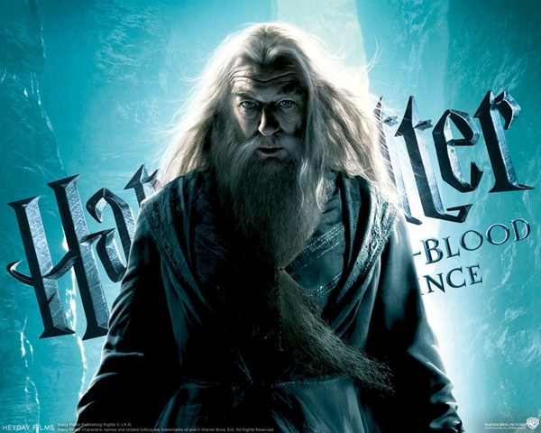5 ý tưởng cho các bộ phim Spin-off của Harry Potter 8