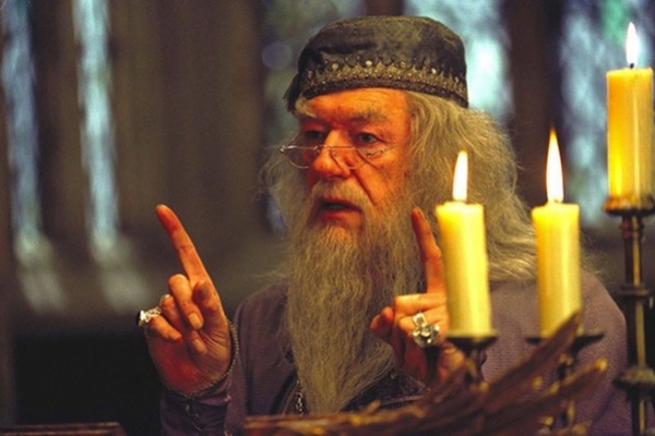 5 ý tưởng cho các bộ phim Spin-off của Harry Potter 7