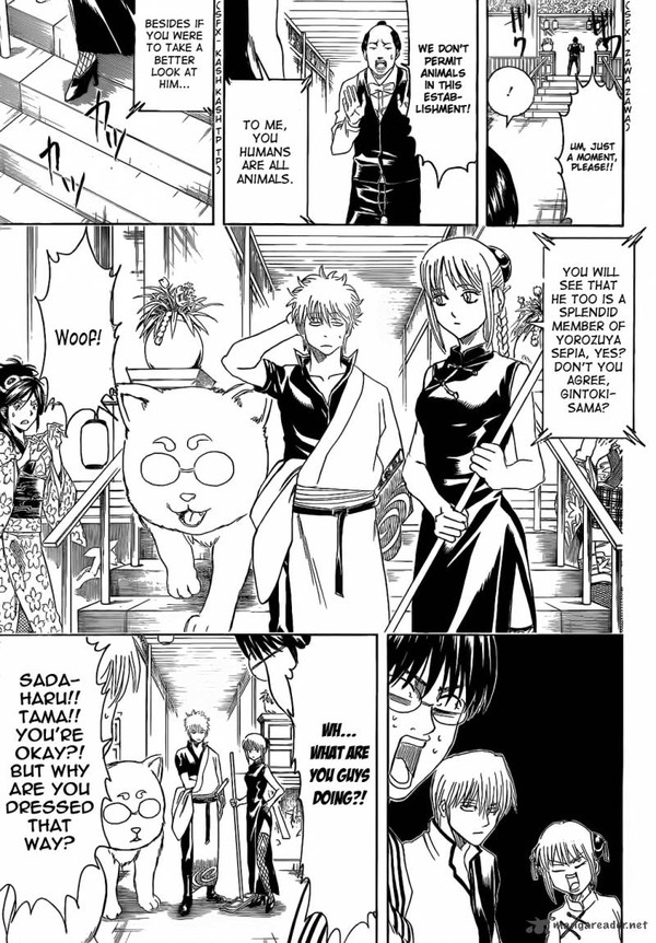 Gintama, Manga về kiếm khách thiên tài bị "tiểu đường" 12