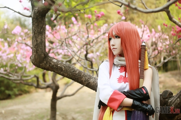 Bộ ảnh cosplay Gintama cực đẹp 15