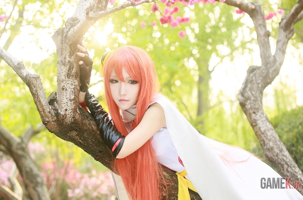 Bộ ảnh cosplay Gintama cực đẹp 8