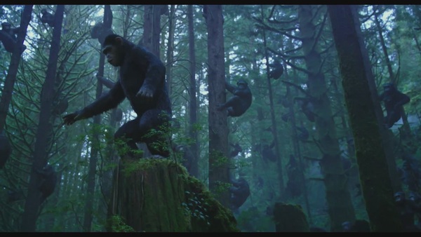 Dawn Of The Planet Of The Apes tung trailer mới 10