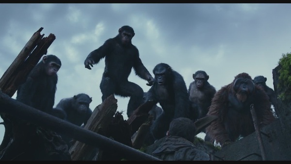 Dawn Of The Planet Of The Apes tung trailer mới 11