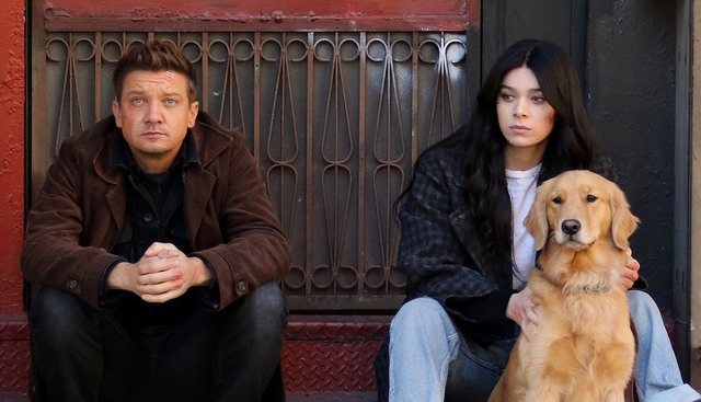 Xin lỗi Hawkeye, chú chó đáng yêu này mới là nhân vật chiếm trọn spotlight trong 2 tập phim đầu tiên! - Ảnh 6. Xin lỗi Hawkeye, chú chó đáng yêu này mới là nhân vật chiếm trọn spotlight trong 2 tập phim đầu tiên! - Ảnh 6.