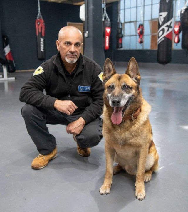 Chó Rambo đánh hơi qua lỗ nhỏ trên tường giúp cảnh sát phát hiện đồn điền cần sa trị giá 1 triệu bảng Anh - Ảnh 5.
