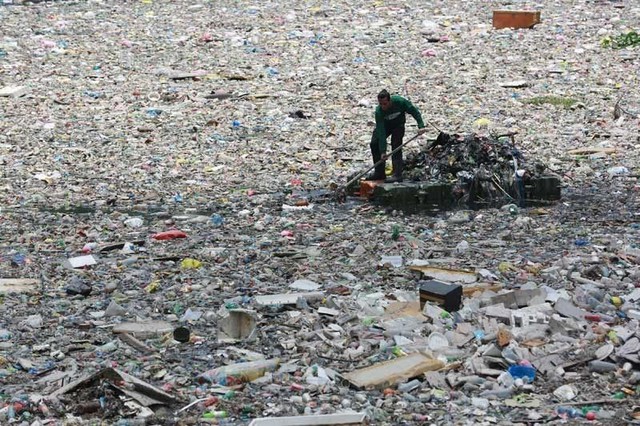 After 160 years of humans littering the environment, bacteria have evolved to eat them - Photo 6.