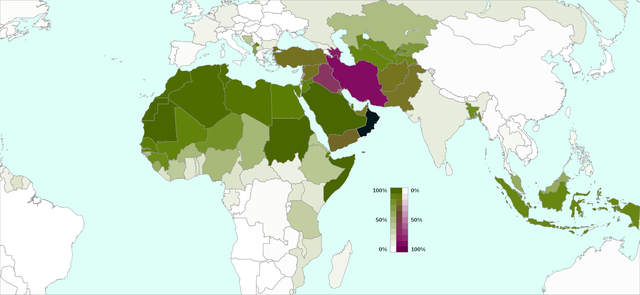 Bản đồ phân bố của Sunni và Shia, màu xanh lá cây là Sunni và màu đỏ tím là Shia.