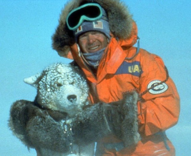 The continental Antarctic is full of pain and sacrifice of dogs - Photo 12.