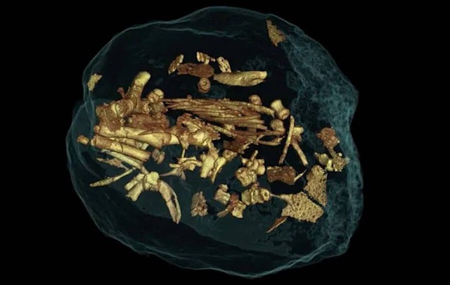 Tổ khủng long 193 triệu năm tuổi chứa trứng với phôi nguyên vẹn vừa được phát hiện ở Argentina - Ảnh 4.