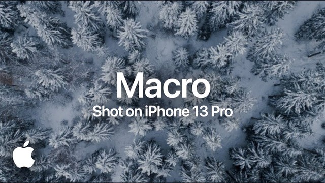 Apple khoe ảnh chụp macro cực xịn xò trên iPhone, thế này mới gọi là macro chứ! - Ảnh 8.