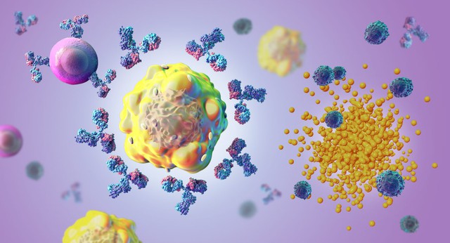 What are killer T cells?  And how they protect you against the Omicron variant - Photo 4.