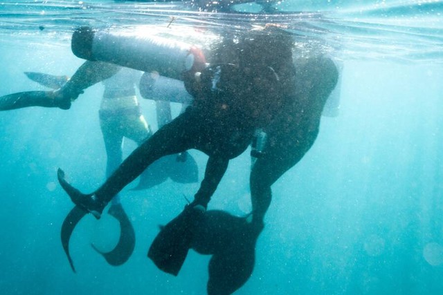 Ba 'nàng tiên cá' cứu một thợ lặn khỏi chết đuối ở California - Ảnh 1.