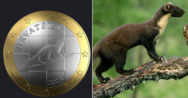 Thiết kế đồng xu Euro của Croatia bị hủy bỏ do nghi vấn vi phạm bản quyền của nhiếp ảnh gia - Ảnh 1.