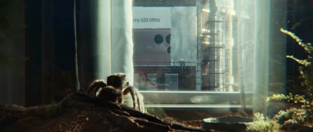 Samsung tung video quảng cáo S22 Ultra cực dễ thương, sẽ giúp bạn bớt sợ nhện - Ảnh 1.