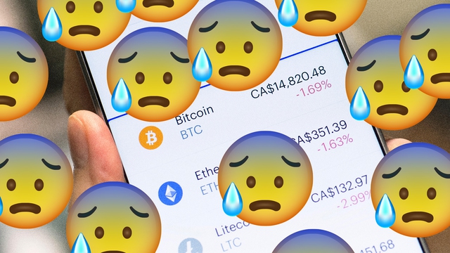 'Cryptocurrency ruined my life': The mental health crisis is hitting Bitcoin investors - Photo 1.