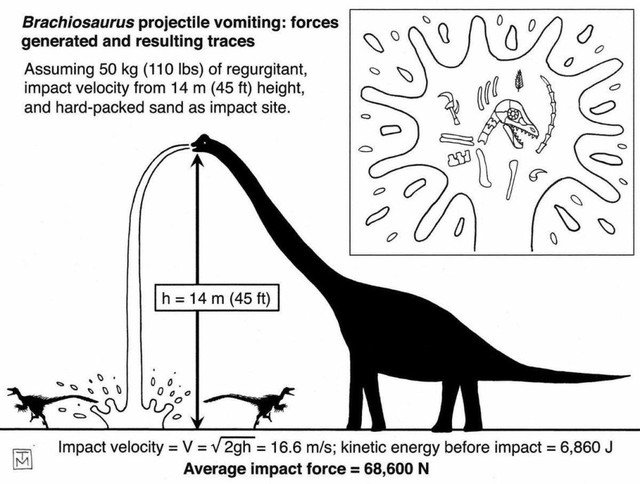 Brachiosaurus dinosaur, just vomiting can kill you already!  - Photo 4.