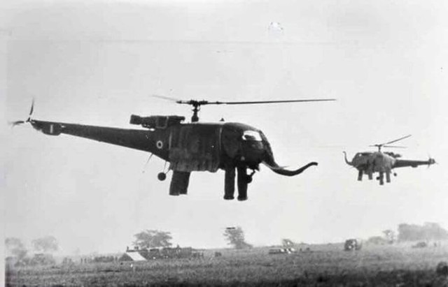 Ấn Độ đã từng sử dụng &quot;trực thăng hình con voi&quot; để bay lượn trên bầu trời - Ảnh 2.