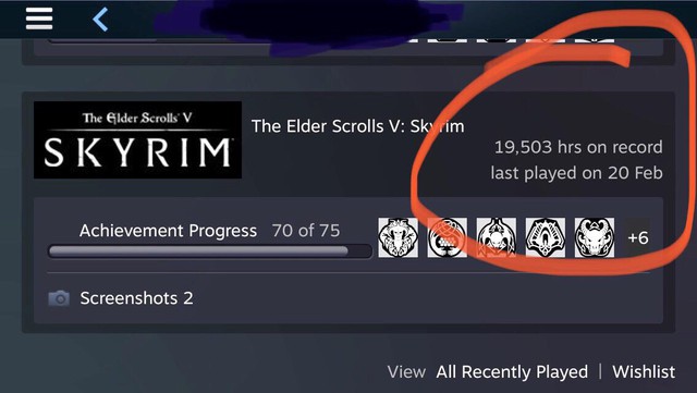 Game thủ hơn 70 tuổi dành gần 20.000 giờ để chơi Skyrim mà vẫn chưa phá đảo tựa game này - Ảnh 1.