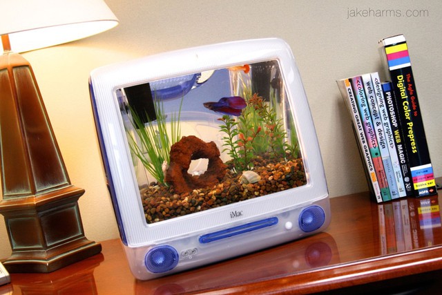 Instead of throwing the damaged MacBook in the trash, the guy turned the MacBook into a trash can - Photo 2.