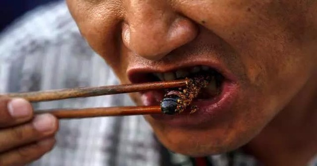 Cockroaches are becoming a favorite food for Chinese people - Photo 3.
