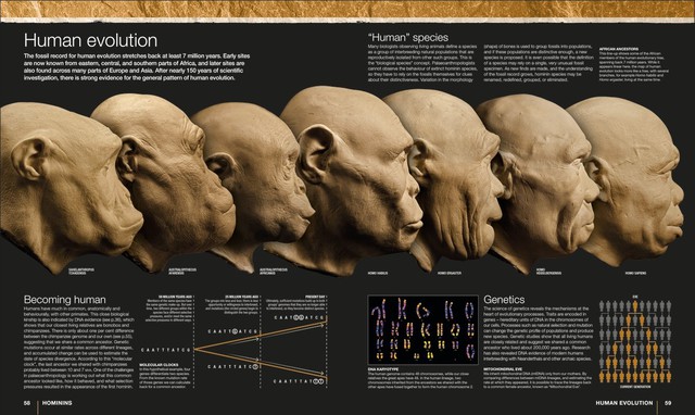 How did climate shape human evolution?  - Photo 2.