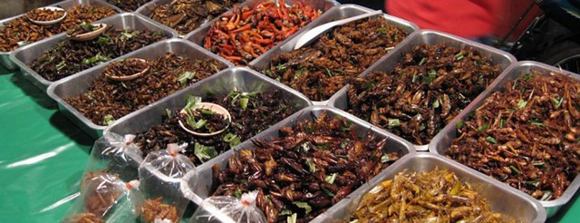 Cockroaches are becoming a favorite food for Chinese people - Photo 4.